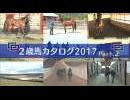 【POG】2歳馬カタログ2017 Part.2-1 / JRA-VAN[公式]