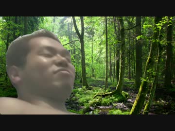 野獣、森へ還る