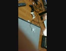 20170420_164502