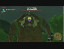 【ゼルダの伝説BoTW実況 part24】うち、この世界救おうと思うねん。