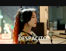 Luis Fonsi - Despacito ( cover by J.Fla )