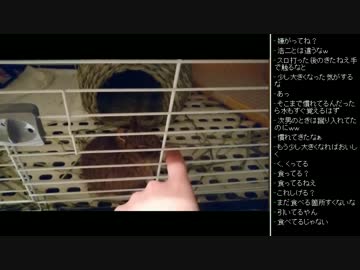 [2017.05.11]ひろくん 雑談 (2/3)