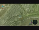 【YTL】もこう『ゼルダの伝説 ブレス オブ ザ ワイルド』part29