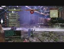 【DDON】へっぽこセージが行く　GM　呼び覚まされし竜【セージ視点】