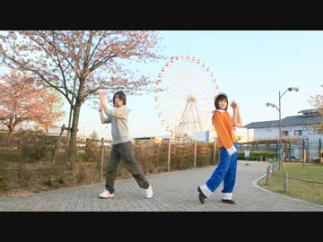 【みゅあかんぱにー】恋愛サーキュレーション【踊ってみた】