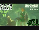 ゼルダ脳を鍛える大人のブレスオブザワイルド実況part.32
