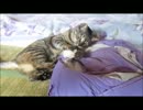 ななこの成長日記その41♪