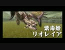 【完全初見】目指せ全モンスター討伐！くろーするMHX実況！　５３（前編