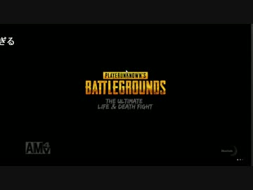 ニータイム配信1/4【PUBG】