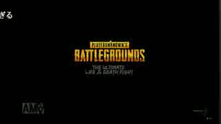 ニータイム配信1/4【PUBG】