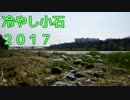 冷やし小石2017