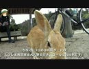 【ロードバイク】輪これ～瀬戸内と砲雷撃戦を巡る旅3