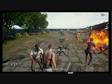 ニータイム配信4/4【PUBG】