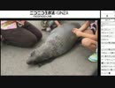 2017/05/09　東武動物公園配信　オットセイショー他