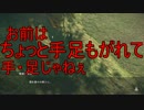 【NieR Automata】主人公が美しい機械世界Part11