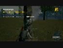 【PUBG】ドン勝１１杯目 【DUO】