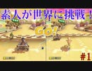 【実況】素人2人が世界に挑戦！【マリオカート8 デラックス】