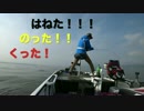 琵琶湖でバス釣り。小さくても釣れたら嬉しい。楽しい。幸せ。