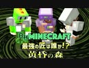 【日刊Minecraft】最強の匠は誰か!?黄昏の森 迷宮の謎【4人実況】