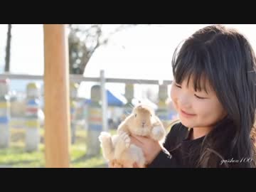 変わらないもの