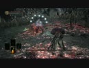 SL1無強化バッソで一周目化身