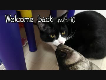 ジルと俺の釣り物語 part.10#おすすめルアー編 巻くだけで爆釣 裂波120