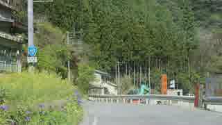 【車載動画】隠れ酷道 国道462号を行く(5)【2017春】