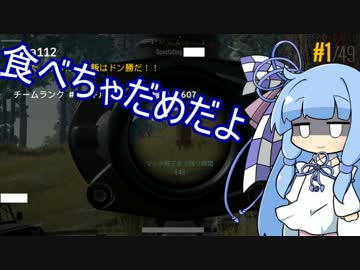 【PUBG】葵「お姉ちゃん、今日の夕飯はドン勝がいいな～？」part3