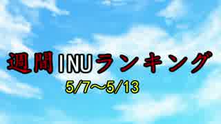 週間INUランキング5/7～5/13