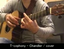 【アコギ】Chandlerを弾こうとしてみた【T-cophony】