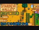 【実況】男は安定よりも心豊かな生活を望んだ：６日目【StardewValley】