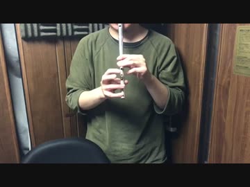 アナザーエデンのフィールド曲をティンホイッスルで演奏してみた。