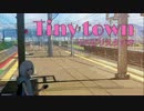 Tiny town