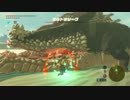 【高画質プレイ動画】ゼルダの伝説 ブレスオブザワイルド Part154
