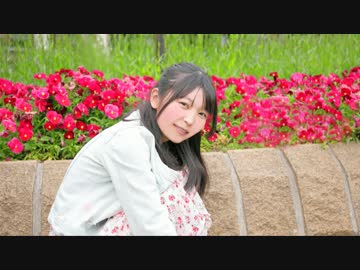 【靴下で】恋空予報 踊ってみた【比奈】