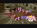 【千年戦争アイギス】王子とリリアのガバ紀行#6　悪霊の迷宮4編