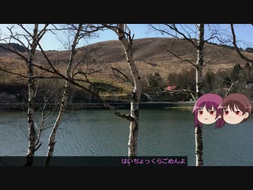 長野まで輪行して、東京まで自転車で帰ってみた【ゆっくり咲＆照】