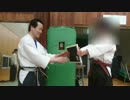 寸勁