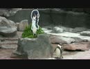 【けものフレンズコラボ記念】グレープ君がみてる２