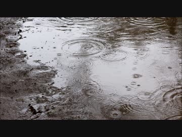 【時雨進水八十二周年】雨の途中【猫村いろは】