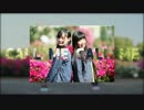 【ぐりこ号】CALL ME CALL ME【踊ってみた】
