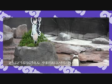 【けものフレンズ】やまだおにいさんのフンボルトペンギン解説