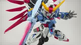 RG+SDEXでデスティニーガンダム作ってみた