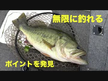琵琶湖バス釣り。爆釣ポイントを発見して二日間で21匹釣れたｗ（前編）