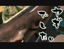 ヤギでした。前篇