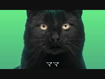 リアリティーのダンス__歌ってみた。