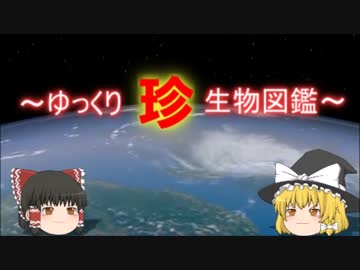 ～ゆっくり　珍　生物図鑑～　新・54回