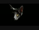【結月ゆかりV4】悪い猫 ギデオンの秘密【オリジナル曲】