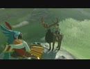 【実況】お姉さんのブレスオブザワイルド【ゼルダの伝説】PART76