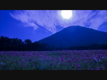 【ニコラップ】恋桔梗【ハリーポッチャリー】